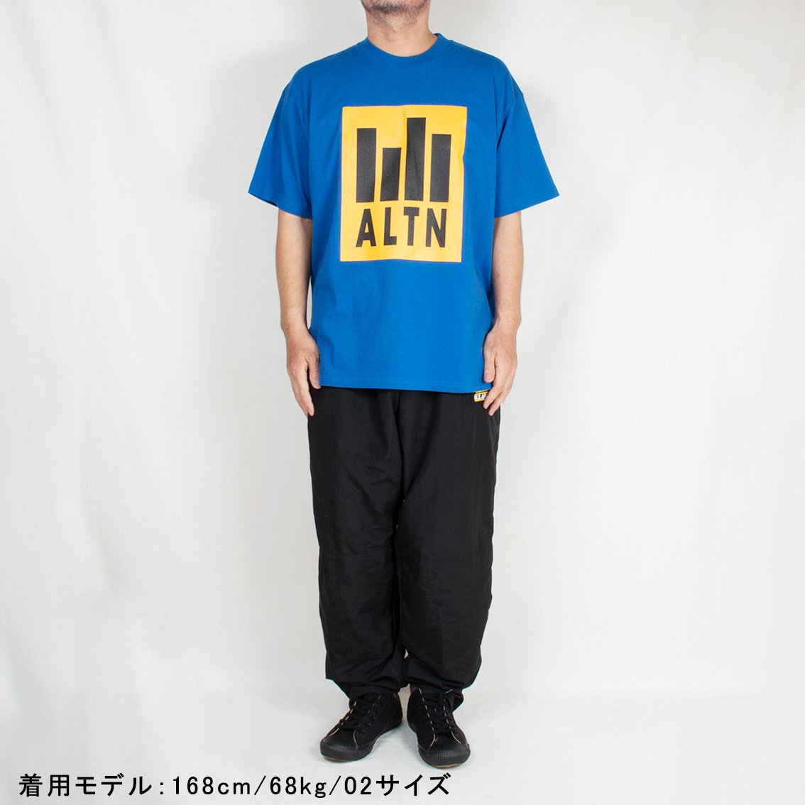 ANACHRONORM / アナクロノーム | ALTN PRINT T-SHIRTS S/S Tシャツ 半袖 AN-234 日本製 - HARTLEY