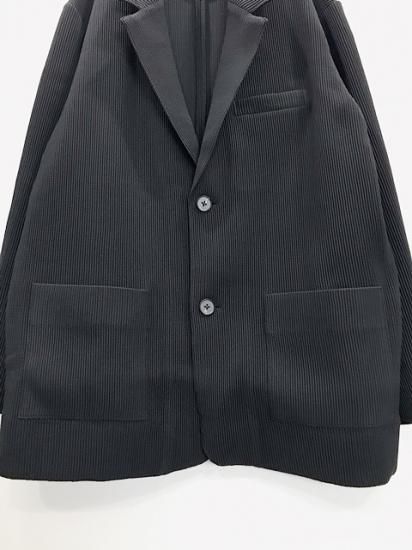 stein（シュタイン） 2021AW 21AW OVERSIZED GRADATION PLEATS