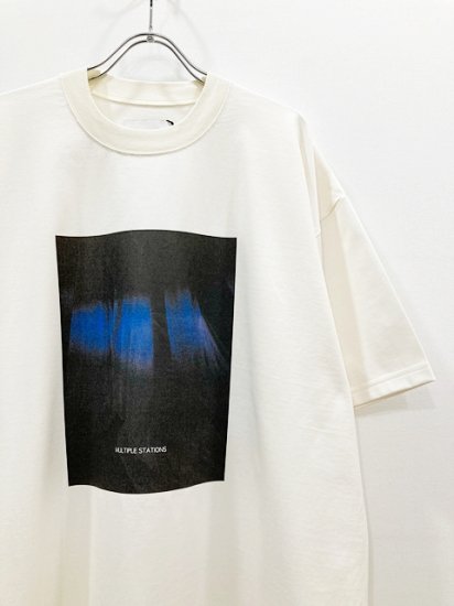 stein（シュタイン）2023SS 23SS PRINT TEE(MERCERISED COTTON) -BLUE