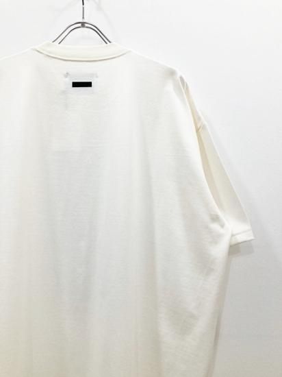 stein（シュタイン）2023SS 23SS PRINT TEE(MERCERISED COTTON