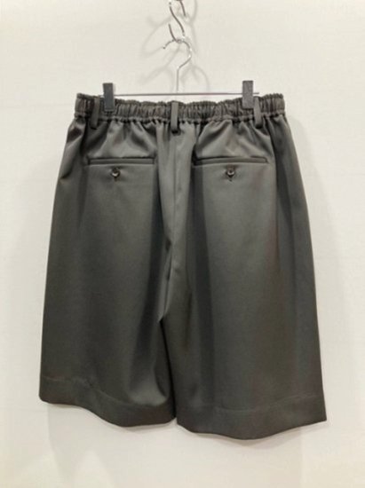 stein WIDE EASY SHORT TROUSERS グレイカーキ