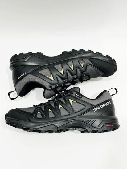 Salomon（サロモン）X BRAZE GORE-TEX Grey - Laid back（レイド