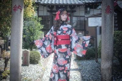  princess Alice猫柄黒白浴衣帯セット 涼風金魚猫 ねこ助コラボ 浴衣（黒）【即納品】 - Royal