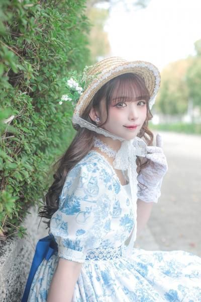 ロイヤルプリンセスアリス　ニャワルドジュイ　ネコ柄　ワンピース　サックス ロイヤルプリンセスアリス ニャワルドジュイ ネコ柄 ワンピース