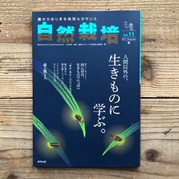  Vol.11