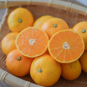 <img class='new_mark_img1' src='https://img.shop-pro.jp/img/new/icons61.gif' style='border:none;display:inline;margin:0px;padding:0px;width:auto;' />15ڸۼ绺  ߤʶ