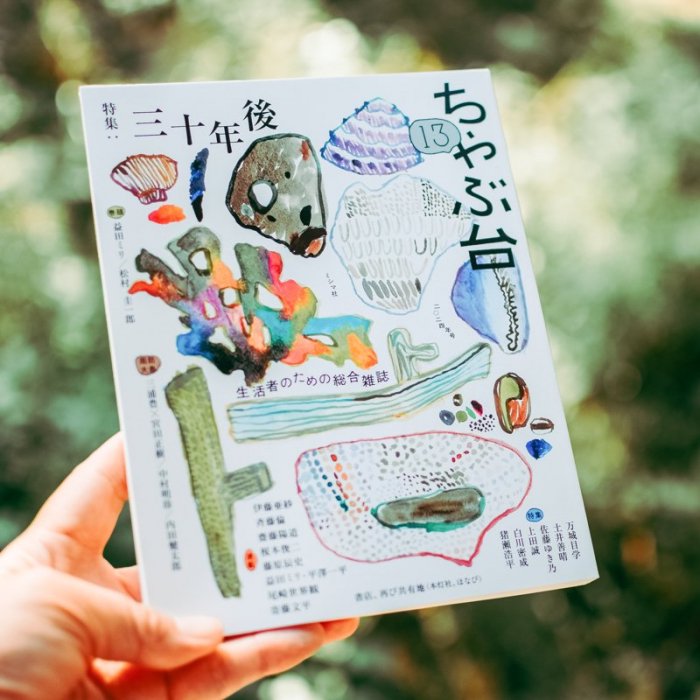 30年後の日本 雑誌