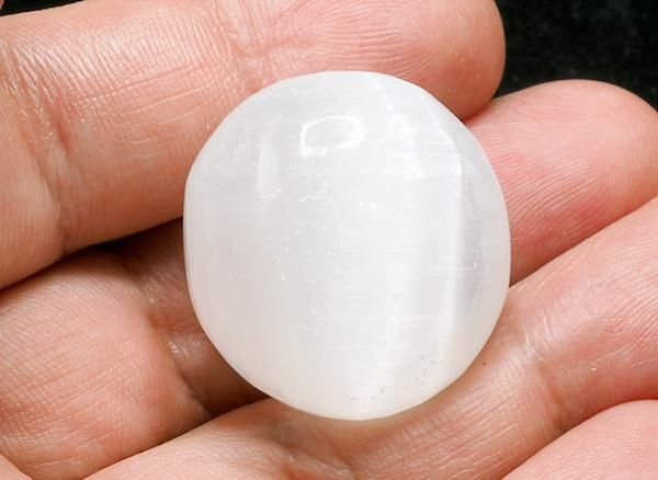 <img class='new_mark_img1' src='https://img.shop-pro.jp/img/new/icons1.gif' style='border:none;display:inline;margin:0px;padding:0px;width:auto;' />ɤ!!<br>ʼʥȤΥ֥<br>å