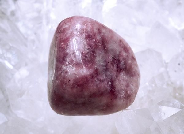 <img class='new_mark_img1' src='https://img.shop-pro.jp/img/new/icons1.gif' style='border:none;display:inline;margin:0px;padding:0px;width:auto;' /><br>饺٥꡼ԥɥ饤ȤΥ֥<br>⥶ӡ