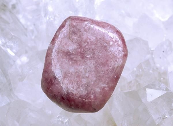 <img class='new_mark_img1' src='https://img.shop-pro.jp/img/new/icons1.gif' style='border:none;display:inline;margin:0px;padding:0px;width:auto;' /><br>饺٥꡼ԥɥ饤ȤΥ֥<br>⥶ӡ