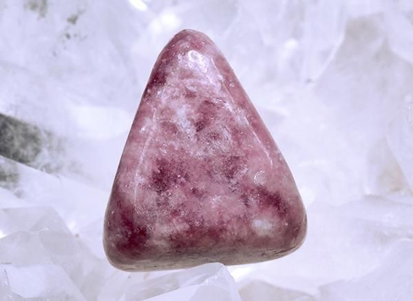 <img class='new_mark_img1' src='https://img.shop-pro.jp/img/new/icons1.gif' style='border:none;display:inline;margin:0px;padding:0px;width:auto;' /><br>饺٥꡼ԥɥ饤ȤΥ֥<br>⥶ӡ