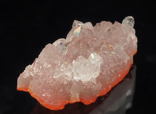 <img class='new_mark_img1' src='https://img.shop-pro.jp/img/new/icons1.gif' style='border:none;display:inline;margin:0px;padding:0px;width:auto;' /><br>İ餷ԥ󥯥ꥹ᥸ȥ饹<br>ɡޥǥץǥ彣˻