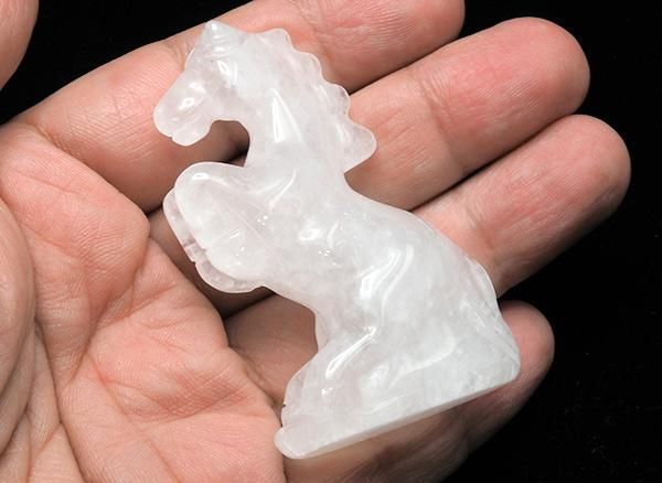 <img class='new_mark_img1' src='https://img.shop-pro.jp/img/new/icons1.gif' style='border:none;display:inline;margin:0px;padding:0px;width:auto;' />2026ǯδ٤ʺ(ҤΤ)Ǥ!! <br>ư륯ꥹ徽
<br>֥饸롦ߥʥ饤