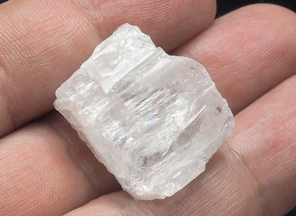 <img class='new_mark_img1' src='https://img.shop-pro.jp/img/new/icons1.gif' style='border:none;display:inline;margin:0px;padding:0px;width:auto;' /><br>ʥ(ۥ磻ȥ٥)θ<br>֥饸롦ߥʥ饤ͥ륿