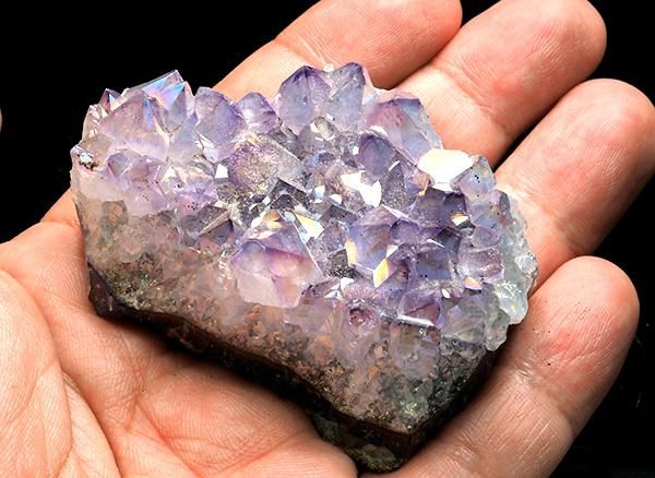 <img class='new_mark_img1' src='https://img.shop-pro.jp/img/new/icons1.gif' style='border:none;display:inline;margin:0px;padding:0px;width:auto;' /><br>륢᥸ȥΥ饹 <br>֥饸롦ꥪǡɡ뽣