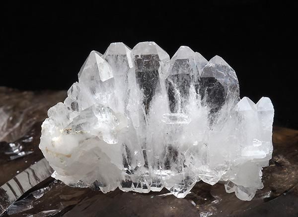 <img class='new_mark_img1' src='https://img.shop-pro.jp/img/new/icons1.gif' style='border:none;display:inline;margin:0px;padding:0px;width:auto;' /><br>եǥ󥯥<br>֥饸 ߥʥ饤 ٥ ȥޥ󥵥