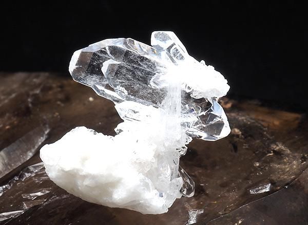 <img class='new_mark_img1' src='https://img.shop-pro.jp/img/new/icons1.gif' style='border:none;display:inline;margin:0px;padding:0px;width:auto;' /><br>եǥ󥯥<br>֥饸 ߥʥ饤 ٥ ȥޥ󥵥