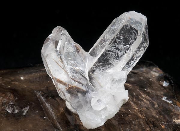 <img class='new_mark_img1' src='https://img.shop-pro.jp/img/new/icons1.gif' style='border:none;display:inline;margin:0px;padding:0px;width:auto;' /><BR>ץʥ륯饹<BR>֥饸 ߥʥ饤 ٥ ȥޥ󥵥