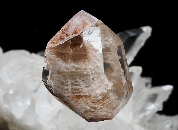 <img class='new_mark_img1' src='https://img.shop-pro.jp/img/new/icons1.gif' style='border:none;display:inline;margin:0px;padding:0px;width:auto;' /><br>ǥեȥζ̮ĤΥݥ<BR>֥饸롦ߥʥ饤ۥեꥷ顦ǡ֥뻺