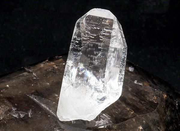 <img class='new_mark_img1' src='https://img.shop-pro.jp/img/new/icons1.gif' style='border:none;display:inline;margin:0px;padding:0px;width:auto;' />ԤҤ᤭Ϳ˥塼徽<br>󥯥ĥꥹΥݥ<br>֥饸롦ߥʥ饤¡ۻ