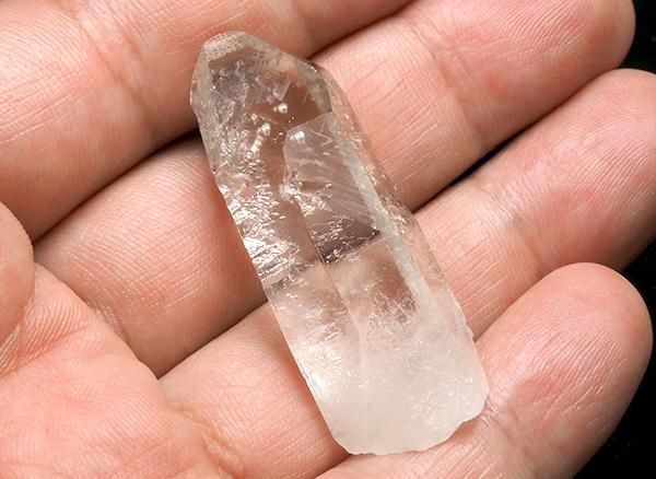 <img class='new_mark_img1' src='https://img.shop-pro.jp/img/new/icons1.gif' style='border:none;display:inline;margin:0px;padding:0px;width:auto;' />ԤҤ᤭Ϳ˥塼徽<br>󥯥ĥꥹΥݥ<br>֥饸롦ߥʥ饤¡ۻ