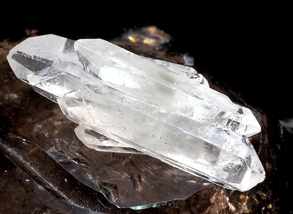 <img class='new_mark_img1' src='https://img.shop-pro.jp/img/new/icons1.gif' style='border:none;display:inline;margin:0px;padding:0px;width:auto;' /><br>֥ݥȿ徽饹<br>֥饸 ߥʥ饤 ٥ ȥޥ󥵥