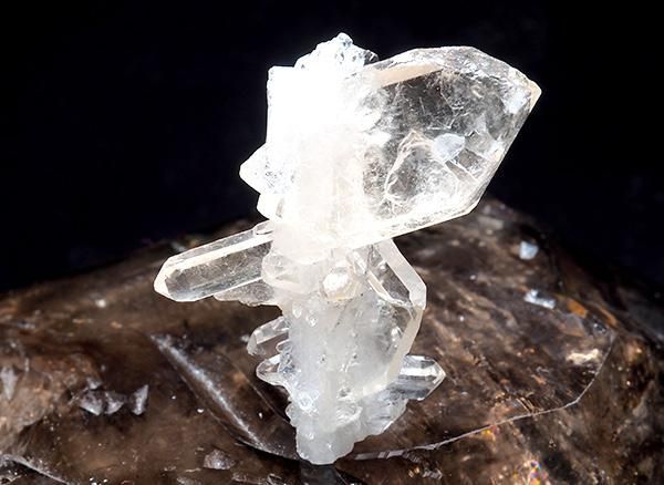 <img class='new_mark_img1' src='https://img.shop-pro.jp/img/new/icons1.gif' style='border:none;display:inline;margin:0px;padding:0px;width:auto;' /><br>֥ݥȿ徽饹<br>֥饸 ߥʥ饤 ٥ ȥޥ󥵥