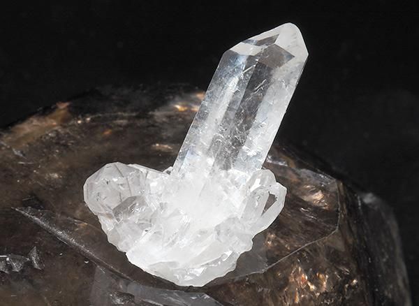 <img class='new_mark_img1' src='https://img.shop-pro.jp/img/new/icons1.gif' style='border:none;display:inline;margin:0px;padding:0px;width:auto;' /><BR>ץʥ륯饹<BR>֥饸 ߥʥ饤 ٥ ȥޥ󥵥