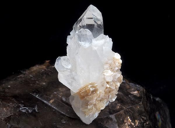 <img class='new_mark_img1' src='https://img.shop-pro.jp/img/new/icons1.gif' style='border:none;display:inline;margin:0px;padding:0px;width:auto;' /><br>⥹Хȡ󡦥ߥ˥ƥɥ徽Υݥ<BR>֥饸롦ߥʥ饤˥ѥݻ