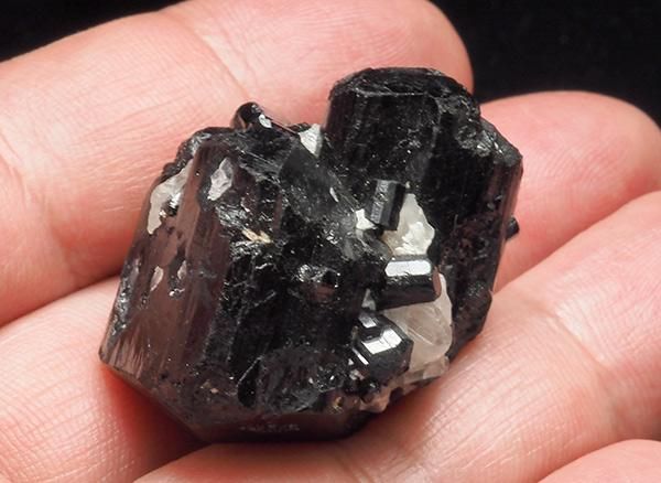 <img class='new_mark_img1' src='https://img.shop-pro.jp/img/new/icons1.gif' style='border:none;display:inline;margin:0px;padding:0px;width:auto;' /><br>֥åȥޥʥ硼ˤη뾽<br>֥饸롦ߥʥ饤饹