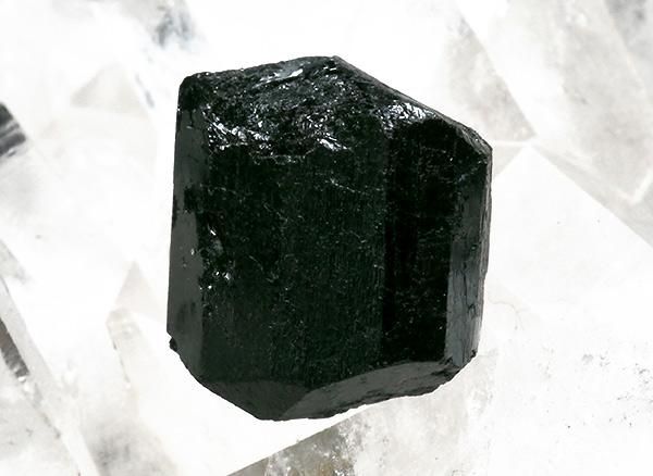 <br>֥åȥޥʥ硼ˤη뾽<br>֥饸롦ߥʥ饤饹