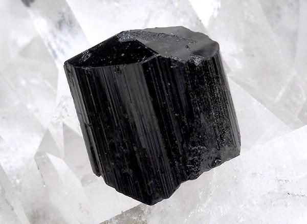 <br>֥åȥޥʥ硼ˤη뾽<br>֥饸롦ߥʥ饤饹