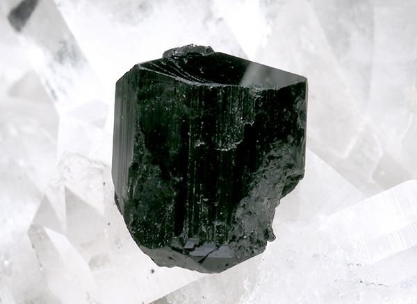 <br>֥åȥޥʥ硼ˤη뾽<br>֥饸롦ߥʥ饤饹