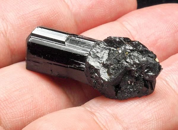 <br>֥åȥޥʥ硼ˤη뾽<br>֥饸롦ߥʥ饤饹