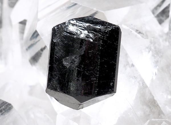 <br>֥åȥޥʥ硼ˤη뾽<br>֥饸롦ߥʥ饤饹