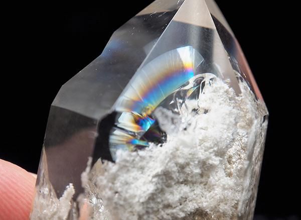 ����<br>����������쥤��ܡ��ۥ磻�ȥ����ǥ󥯥����ĤΥݥ����<br>�֥饸�롦�ߥʥ������饤�����ۥ�����ե��ꥷ�������顦�ǡ����֥�뻺