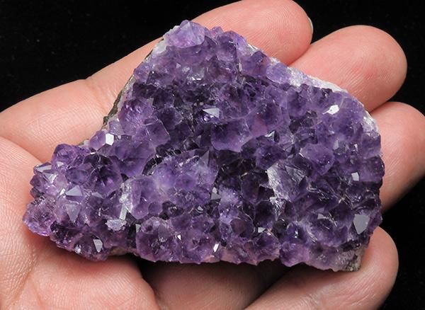 <img class='new_mark_img1' src='https://img.shop-pro.jp/img/new/icons1.gif' style='border:none;display:inline;margin:0px;padding:0px;width:auto;' /><br>ǻѡץ뤬Ũʥ᥸ȥߥ˥饹<br>륰ƥ