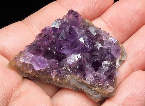 <img class='new_mark_img1' src='https://img.shop-pro.jp/img/new/icons1.gif' style='border:none;display:inline;margin:0px;padding:0px;width:auto;' /><br>ǻѡץ뤬Ũʥ᥸ȥߥ˥饹<br>륰ƥ