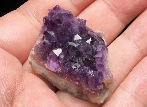 <img class='new_mark_img1' src='https://img.shop-pro.jp/img/new/icons1.gif' style='border:none;display:inline;margin:0px;padding:0px;width:auto;' /><br>ǻѡץ뤬Ũʥ᥸ȥߥ˥饹<br>륰ƥ