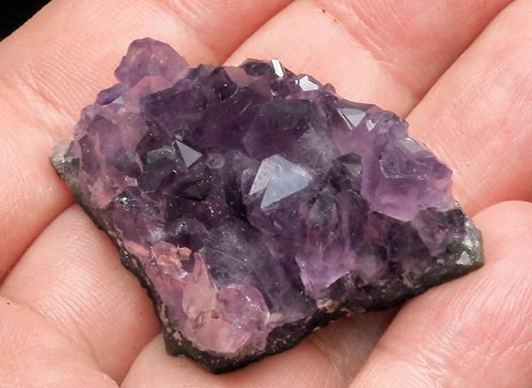 <img class='new_mark_img1' src='https://img.shop-pro.jp/img/new/icons1.gif' style='border:none;display:inline;margin:0px;padding:0px;width:auto;' /><br>ǻѡץ뤬Ũʥ᥸ȥߥ˥饹<br>륰ƥ