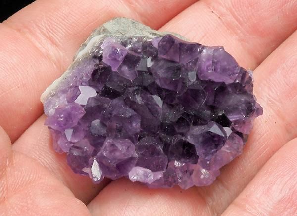 <img class='new_mark_img1' src='https://img.shop-pro.jp/img/new/icons1.gif' style='border:none;display:inline;margin:0px;padding:0px;width:auto;' /><br>ǻѡץ뤬Ũʥ᥸ȥߥ˥饹<br>륰ƥ