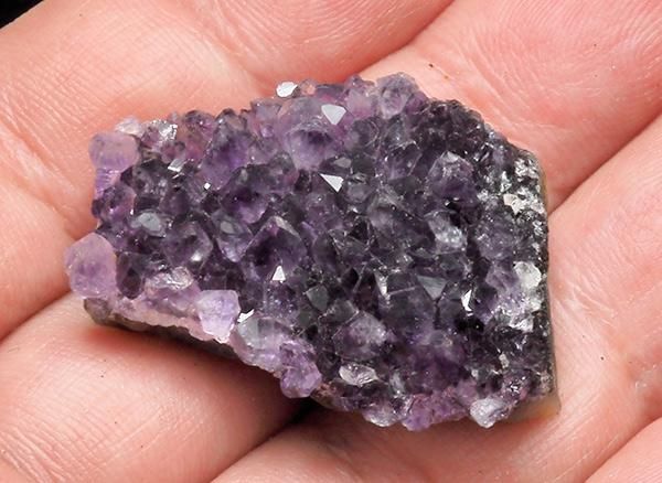 <img class='new_mark_img1' src='https://img.shop-pro.jp/img/new/icons1.gif' style='border:none;display:inline;margin:0px;padding:0px;width:auto;' /><br>ǻѡץ뤬Ũʥ᥸ȥߥ˥饹<br>륰ƥ