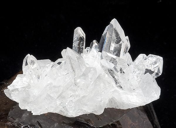 <img class='new_mark_img1' src='https://img.shop-pro.jp/img/new/icons1.gif' style='border:none;display:inline;margin:0px;padding:0px;width:auto;' /><br>쥤ܡ徽Υ饹<br>֥饸 ߥʥ饤 ٥ ȥޥ󥵥