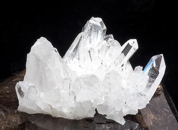 <img class='new_mark_img1' src='https://img.shop-pro.jp/img/new/icons1.gif' style='border:none;display:inline;margin:0px;padding:0px;width:auto;' /><br>쥤ܡ徽Υ饹<br>֥饸 ߥʥ饤 ٥ ȥޥ󥵥