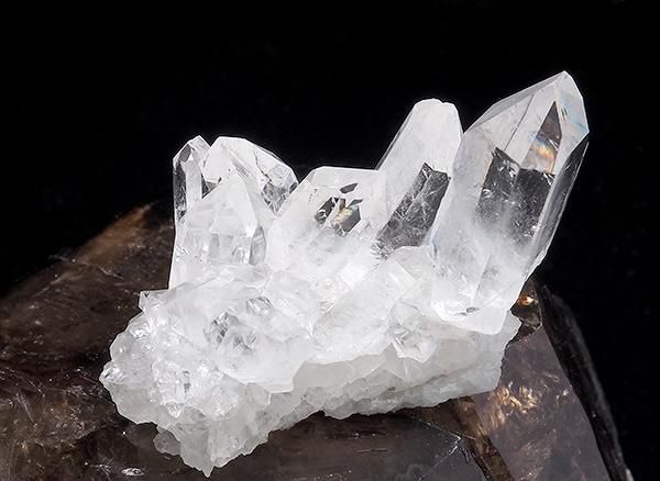 <img class='new_mark_img1' src='https://img.shop-pro.jp/img/new/icons1.gif' style='border:none;display:inline;margin:0px;padding:0px;width:auto;' /><br>쥤ܡ徽Υ饹<br>֥饸 ߥʥ饤 ٥ ȥޥ󥵥