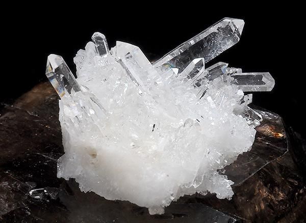 <img class='new_mark_img1' src='https://img.shop-pro.jp/img/new/icons1.gif' style='border:none;display:inline;margin:0px;padding:0px;width:auto;' /><br>쥤ܡ徽Υ饹<br>֥饸 ߥʥ饤 ٥ ȥޥ󥵥