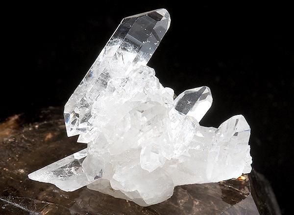 <img class='new_mark_img1' src='https://img.shop-pro.jp/img/new/icons1.gif' style='border:none;display:inline;margin:0px;padding:0px;width:auto;' /><br>쥤ܡ徽Υ饹<br>֥饸 ߥʥ饤 ٥ ȥޥ󥵥