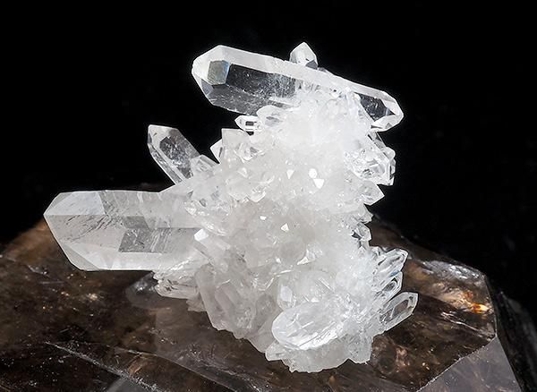 <img class='new_mark_img1' src='https://img.shop-pro.jp/img/new/icons1.gif' style='border:none;display:inline;margin:0px;padding:0px;width:auto;' /><br>쥤ܡ徽Υ饹<br>֥饸 ߥʥ饤 ٥ ȥޥ󥵥