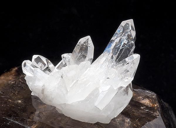 <img class='new_mark_img1' src='https://img.shop-pro.jp/img/new/icons1.gif' style='border:none;display:inline;margin:0px;padding:0px;width:auto;' /><br>쥤ܡ徽Υ饹<br>֥饸 ߥʥ饤 ٥ ȥޥ󥵥