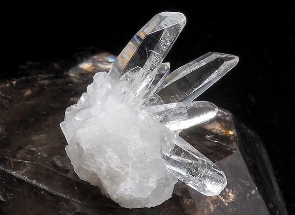 <img class='new_mark_img1' src='https://img.shop-pro.jp/img/new/icons1.gif' style='border:none;display:inline;margin:0px;padding:0px;width:auto;' /><br>쥤ܡ徽Υ饹<br>֥饸 ߥʥ饤 ٥ ȥޥ󥵥